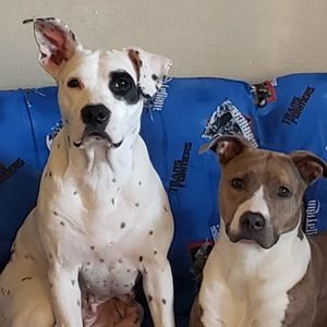 Meet your Posher, Rickie